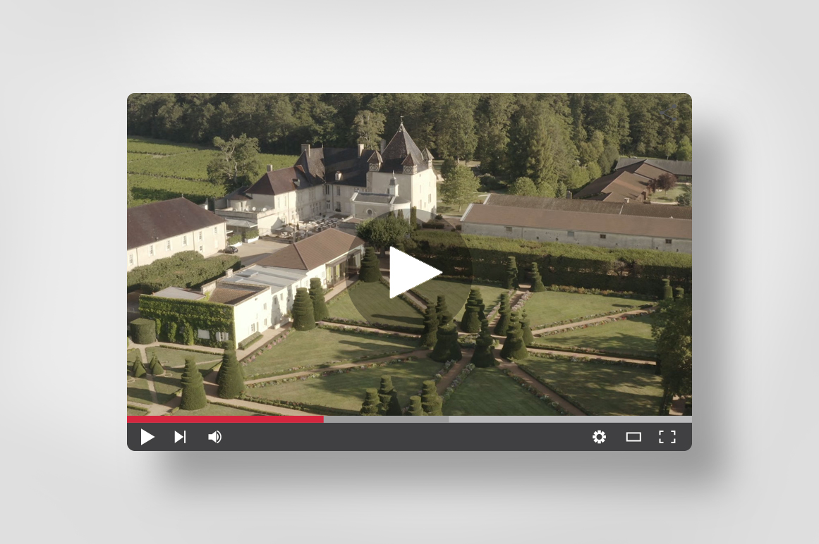 <span>drone</span>Château de Pizay